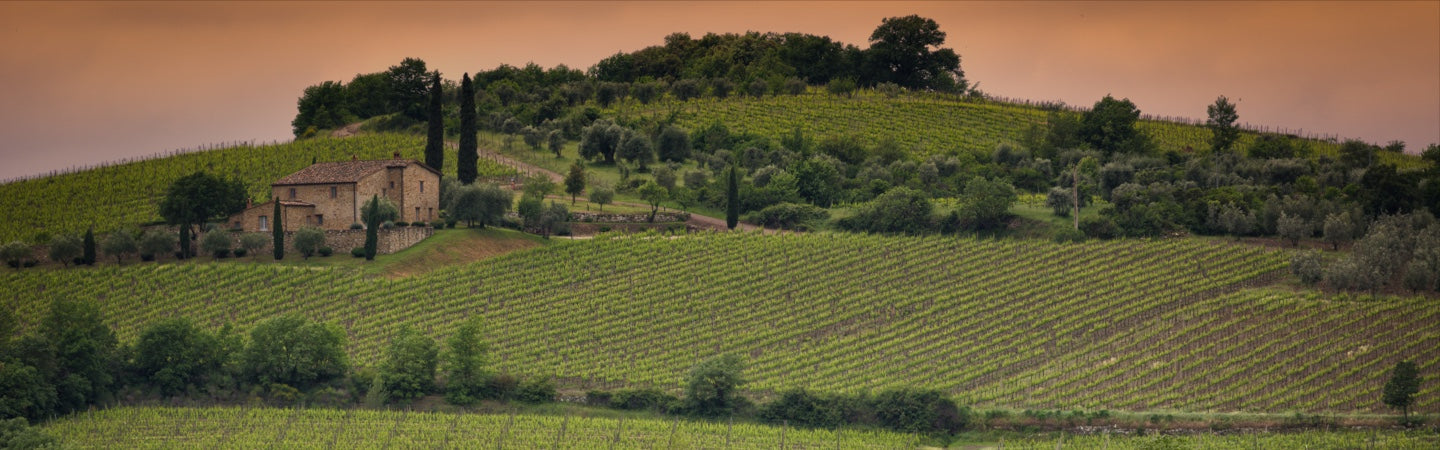 BIONDI SANTI 1983 赤ワイン古酒 1983 Tenuta Greppo (Biondi-Santi) Brunello di Montalcino