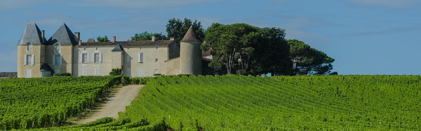 Château d'Yquem – Dominion Wines Inc Château d'Yquem – Dominion Wines Inc
