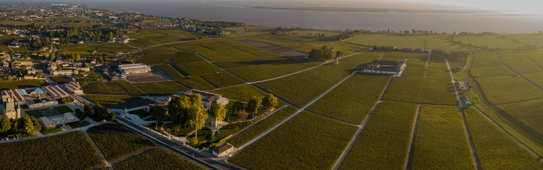 Château Mouton-Rothschild – Dominion Wines Inc