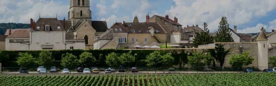 【空き瓶】Meursault 2000 コシュデュリ 楽天市場】コシュ・デュリ（産地（フランス）ムルソー